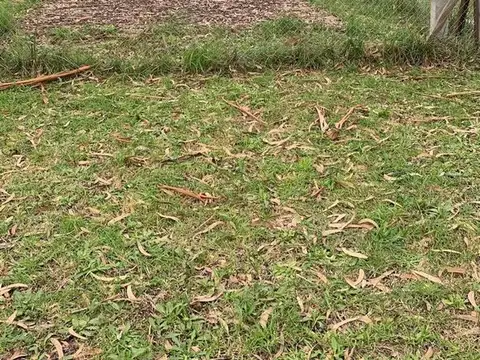 VENTA LOTE PARQUE BRITOL MIRAMAR CALLE LURO 811