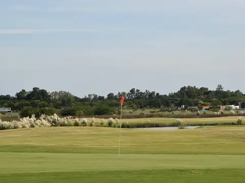 San Sebastian, Área 100