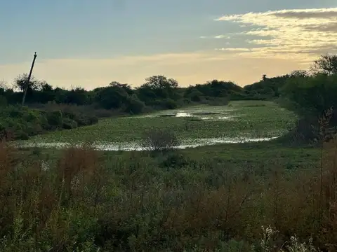HECTAREAS A METROS DE RUTA 19 KM 4,5