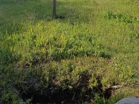 Lote en venta en LA MARTINA II