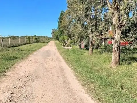 Ruta 2 Km 63 Calle 71