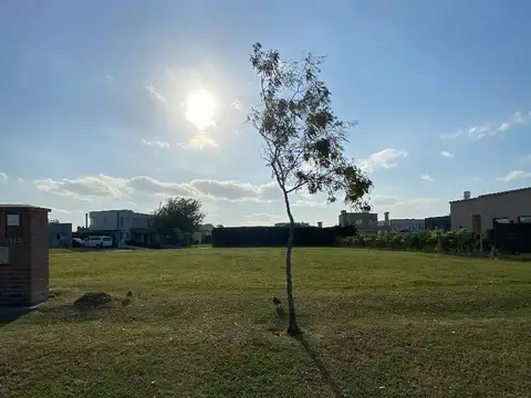 Terreno en Venta de 579,0 m2