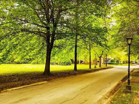 Terreno en Venta en Pilar Centro, USD 66.500