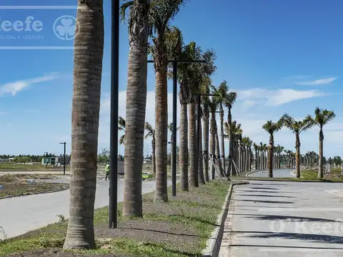 AUTOPISTA BUENOS AIRES LA PLATA KM 30,5 y CALLE 47  GUILLERMO HUDSON