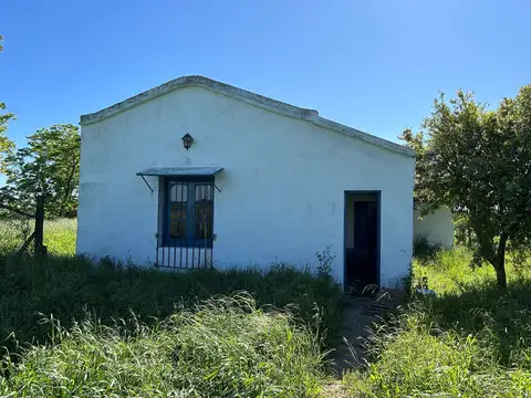 Venta - Campo 23 ha - con casco a metros de ruta 8 - bajada Gaynor -