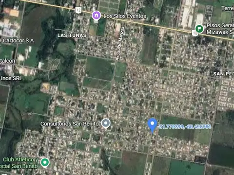 parera 100