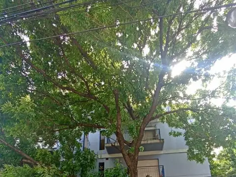 DEPARTAMENTO 3 AMBIENTES C/ 2 BALCONES (bajas expensas)