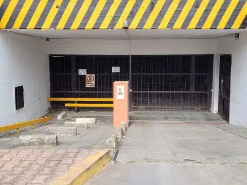 Constitucion 300 100