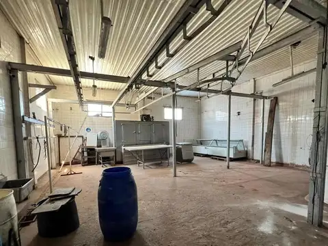 Excelente Propiedad Ex Frigorífico Y Local Comercial | 600m2