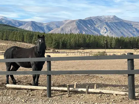 Terreno en Venta 99  mts Fondo