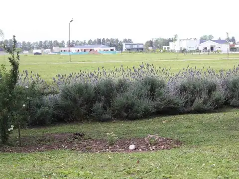 Terreno en Venta en Los Tres Pinos, USD 22.000