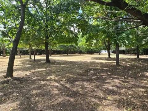 Terreno en Venta 55  mts Fondo