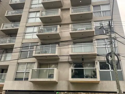 Camacuá 100