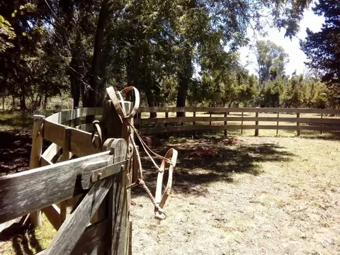 Camino Rural 1500m De Estación Las Tahonas