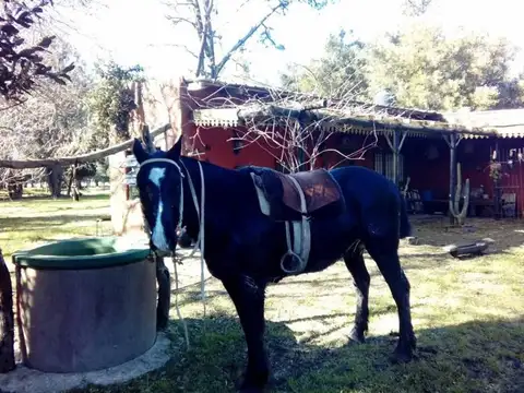 CAMPO DE 21has DE ALVAREZ JONTE, PUNTA INDIO