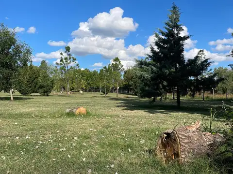 Terreno en Venta de 1061,0 m2