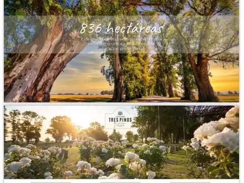 Terreno en Venta de 1000,0 m2