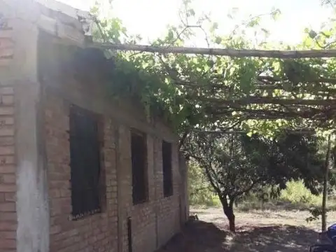 Quinta - Venta - Argentina, San Rafael