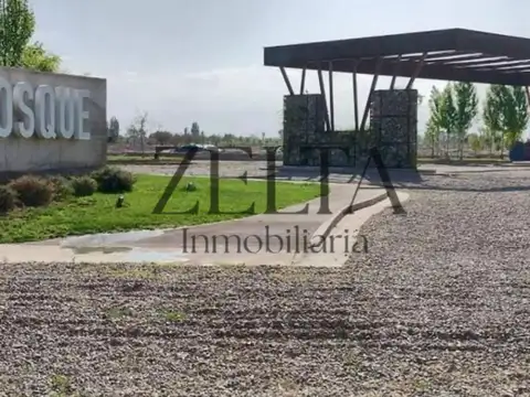 Vendo Lote en Barrio El Bosque