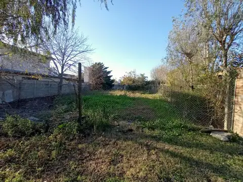Terreno en Venta 31  mts Fondo