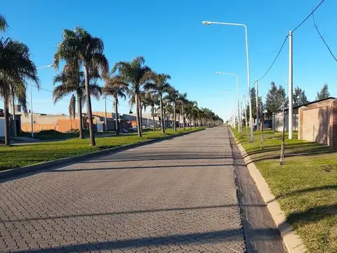 Terreno en Venta 25  mts Fondo