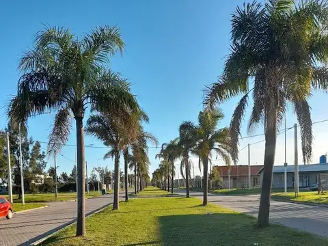 Terreno en Venta de 300,0 m2