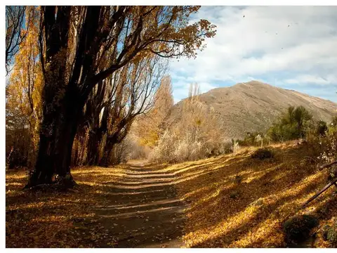 Terreno en Venta de 1100,0 m2