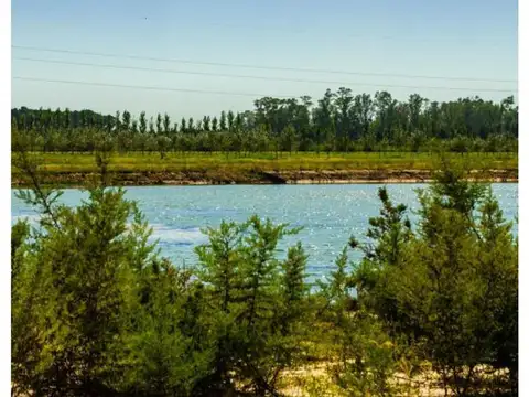 LOTE TERRENO HARAS DE FUNES
