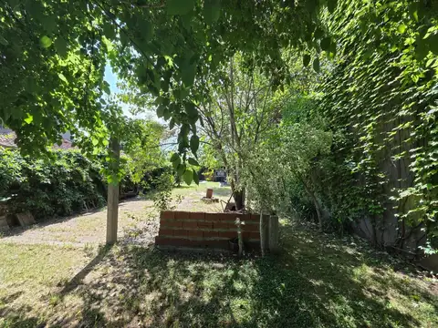 Gregoria Matorras De San Martin 1250