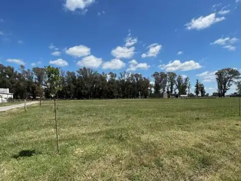Terreno en Venta de 1000,0 m2