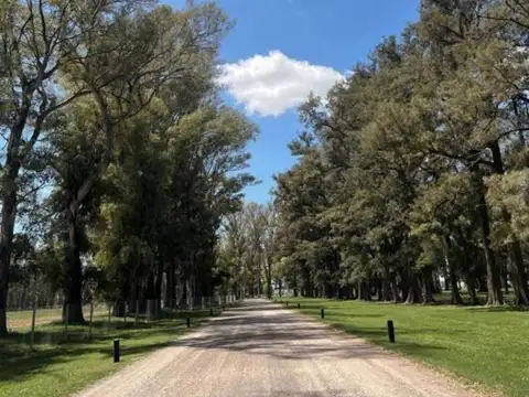 Terreno en Venta en Los Tres Pinos, USD 30.000