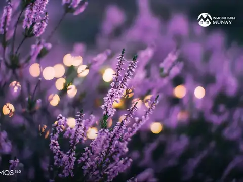 Terreno en Venta de 287,0 m2