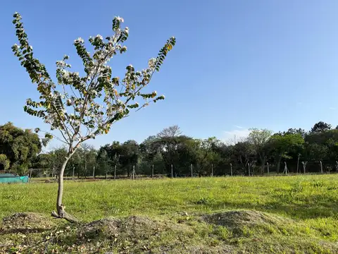 Terreno en Venta en Yerba Buena, USD 33.000