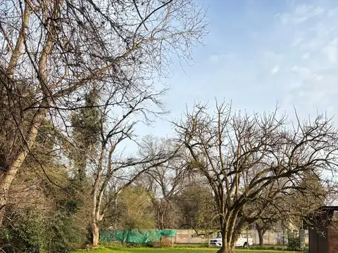 Excelente lote comercial en Benavidez