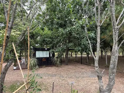 EL AMPARO