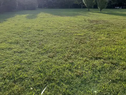 Terreno en Venta 46  mts Fondo