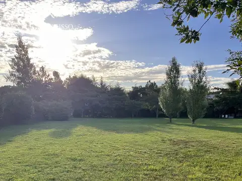 Terreno en Venta 46  mts Fondo