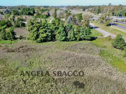 Terreno en Venta 37  mts Frente