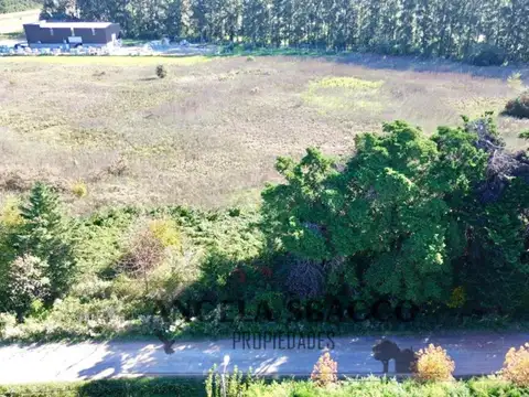 Hermosos Terrenos, En el Remanso. 