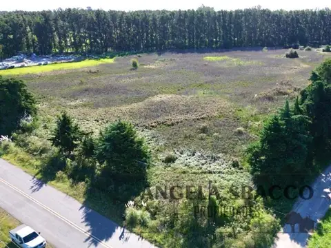 Terreno en Venta de 2812,0 m2