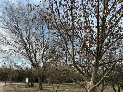 Terreno en Venta de 1736,0 m2