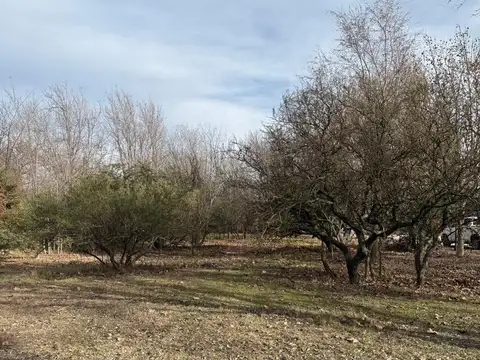 Terreno en Venta de 1736,0 m2