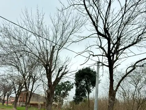 VENTA DE MACIZO EN PILAR