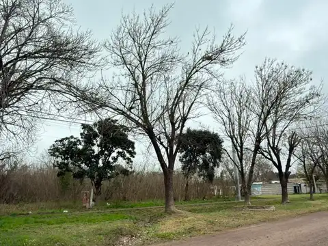 VENTA DE MACIZO EN PILAR