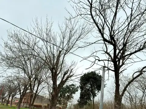 Terreno en Venta de 6764,0 m2