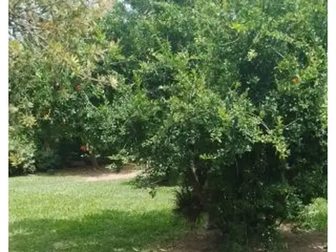 Terreno en Venta de 180,0 m2