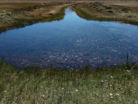 VENTA CAMPO 22.800 HA EN PERITO MORENO, SANTA CRUZ