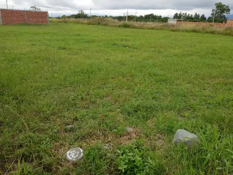 Campo Quijano. Loteo La Carmina