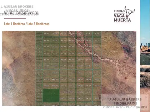 EN VENTA TERRENOS EN VACA MUERTA