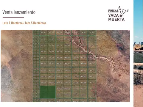 EN VENTA TERRENOS EN VACA MUERTA
